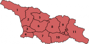 Divisions de la Géorgie