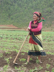 Femme Moso travaillant dans un champs, près du lac Lugu.